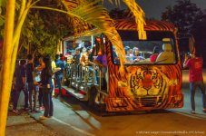 safarie bus-2.jpg