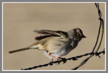 2-18-16-cr__D7K1416.jpg