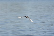 DSC_6439.jpg