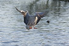 DSC_6346.jpg