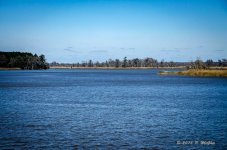 DSC_0522.jpg