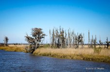 DSC_0526.jpg