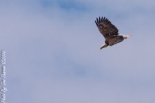 Taylorsville Trip-2680.JPG