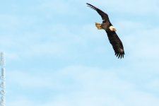 Taylorsville Trip-2682-Edit.JPG