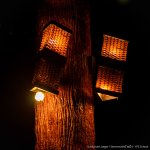 lights-1.jpg