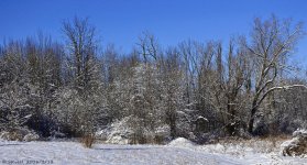 _DSC1550.jpg