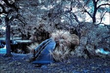 2-18-16 Trade Winds IR   4.jpg