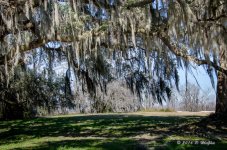 DSC_0527.jpg