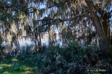 DSC_0535.jpg