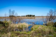 DSC_0540.jpg