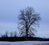 _DSC1554.jpg