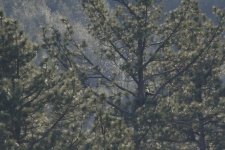 ROY_8695.JPG