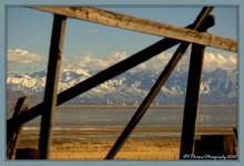 Salt Lake City Framed by Old Wood 2-20-2016.jpg