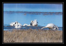W_DSC_1934.jpg