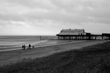 DSC_5101.jpg