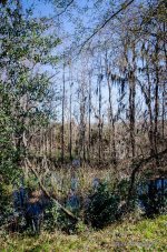 DSC_0543.jpg