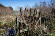 DSC_0544.jpg