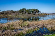 DSC_0547.jpg