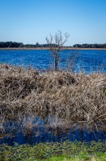 DSC_0549.jpg