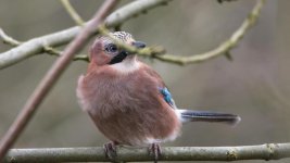 DSC_9478.jpg