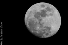 Moon Shadow-2770.JPG