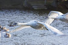 DSC_6541.jpg