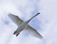 DSC_6508.jpg
