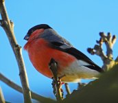 DSCN0851.jpg