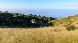 landscape doi inthanon cm-2.jpg
