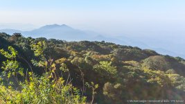 landscape doi inthanon cm-5.jpg