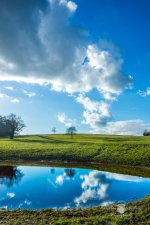 2016.02.23 Walk at Ashton Court2 (1 of 1)-2.jpg