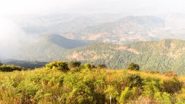 landscape doi inthanon cm foggy-5.jpg