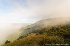landscape doi inthanon cm foggy-7.jpg