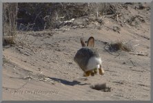 2-24-16-cr__D7K1715.jpg