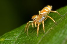 DSC_5340.jpg