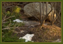 Stone, Snow, and Trees in Layton 2-25-2016.jpg
