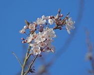 DSC_6634.jpg
