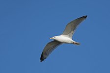 DSC_6822.jpg