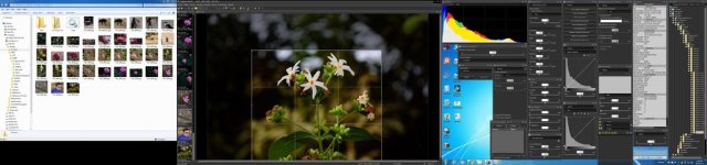 Capture-NXD-5.jpg