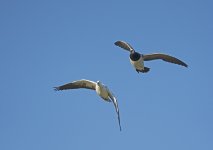 DSC_6714.jpg