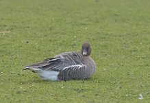 DSC_6478.jpg