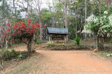 work park-3.jpg