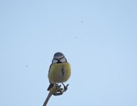 DSC_5753.jpg