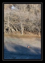 W_DSC_1948 (2).jpg