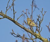 DSC_6788.jpg