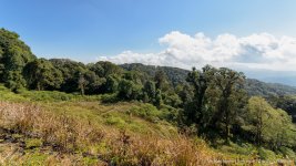 landscape doi inthanon cm landscape-1.jpg