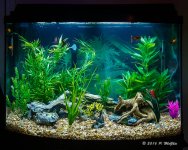 20160227_061738.jpg