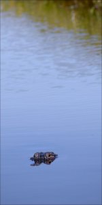 2-17-16 Wako   35.jpg