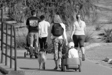 week-walker-mono-cr_D7K1863.jpg