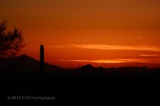 2-26-16-cr__D7K1838.jpg